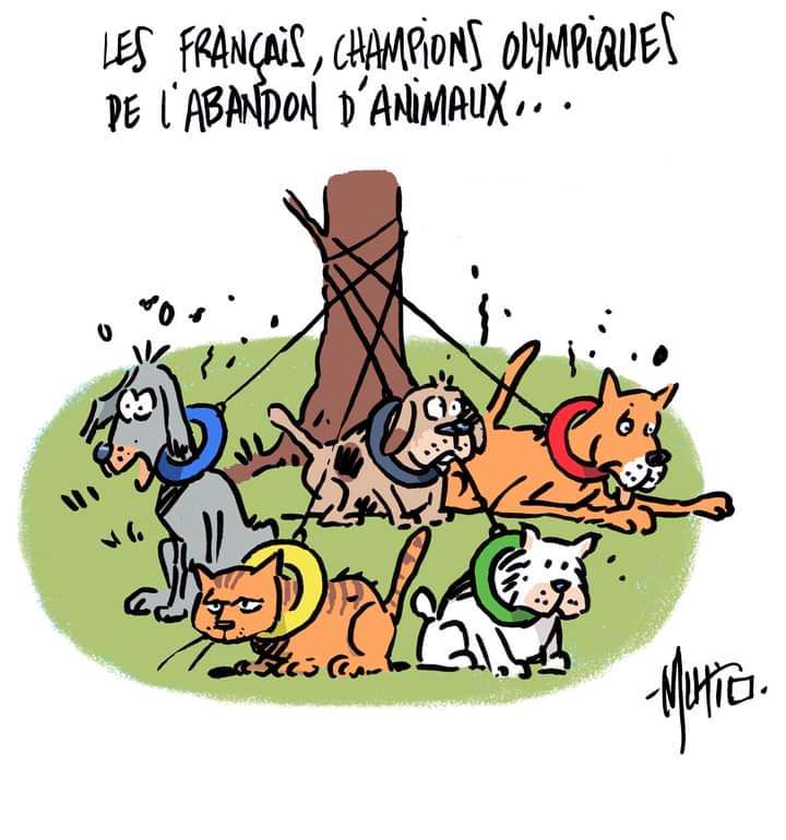 Que la vie traite ces gens comme ils traitent leurs animaux ! Ils m&eacute;ritent de finir leur vie seuls et abandonn&eacute;s de tous et surtout de leur famille !