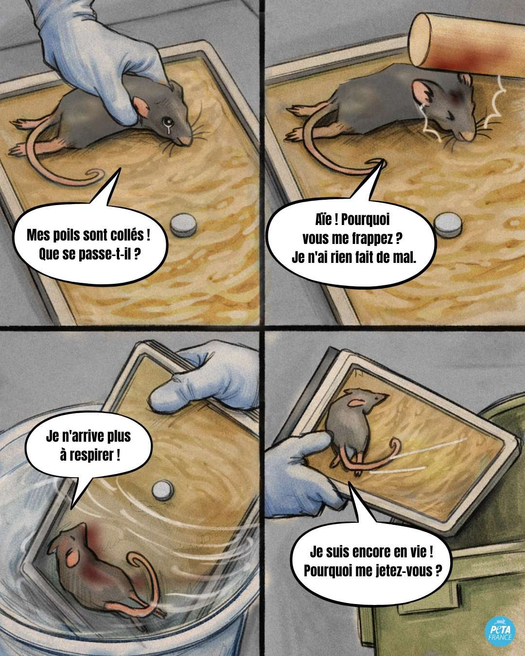Aucune souris, aucun oiseau, aucun animal ne devrait endurer une telle souffrance. 💔 N&rsquo;utilisez jamais de pi&egrave;ges &agrave; colle. 

Il existe des solutions efficaces et sans cruaut&eacute; 👉