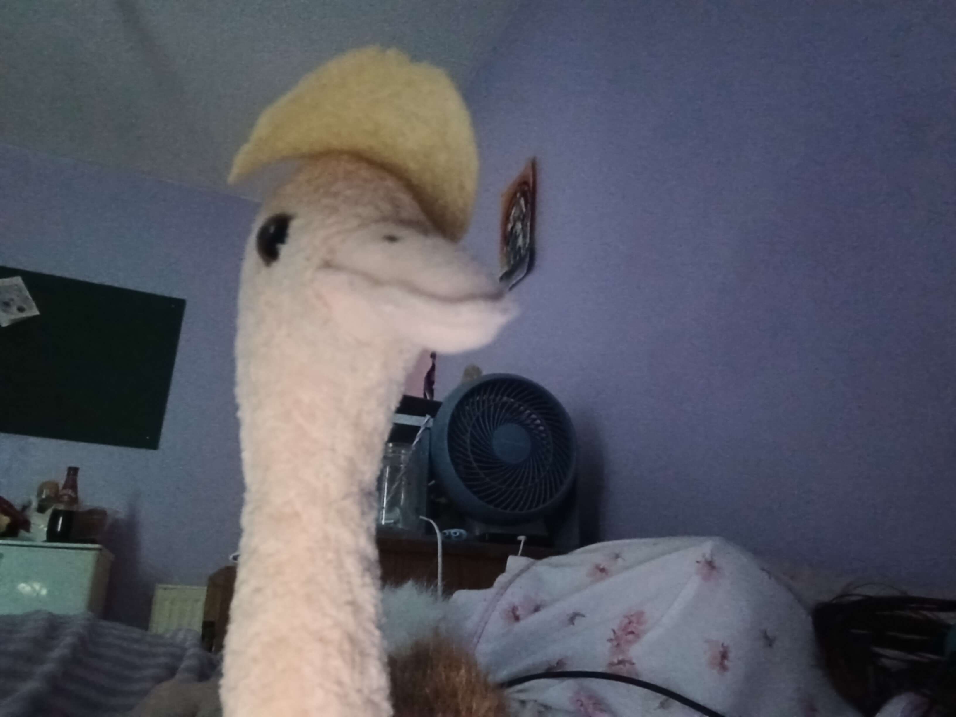 Feeling lonely lately but had some fun taking this elite pick of Dave