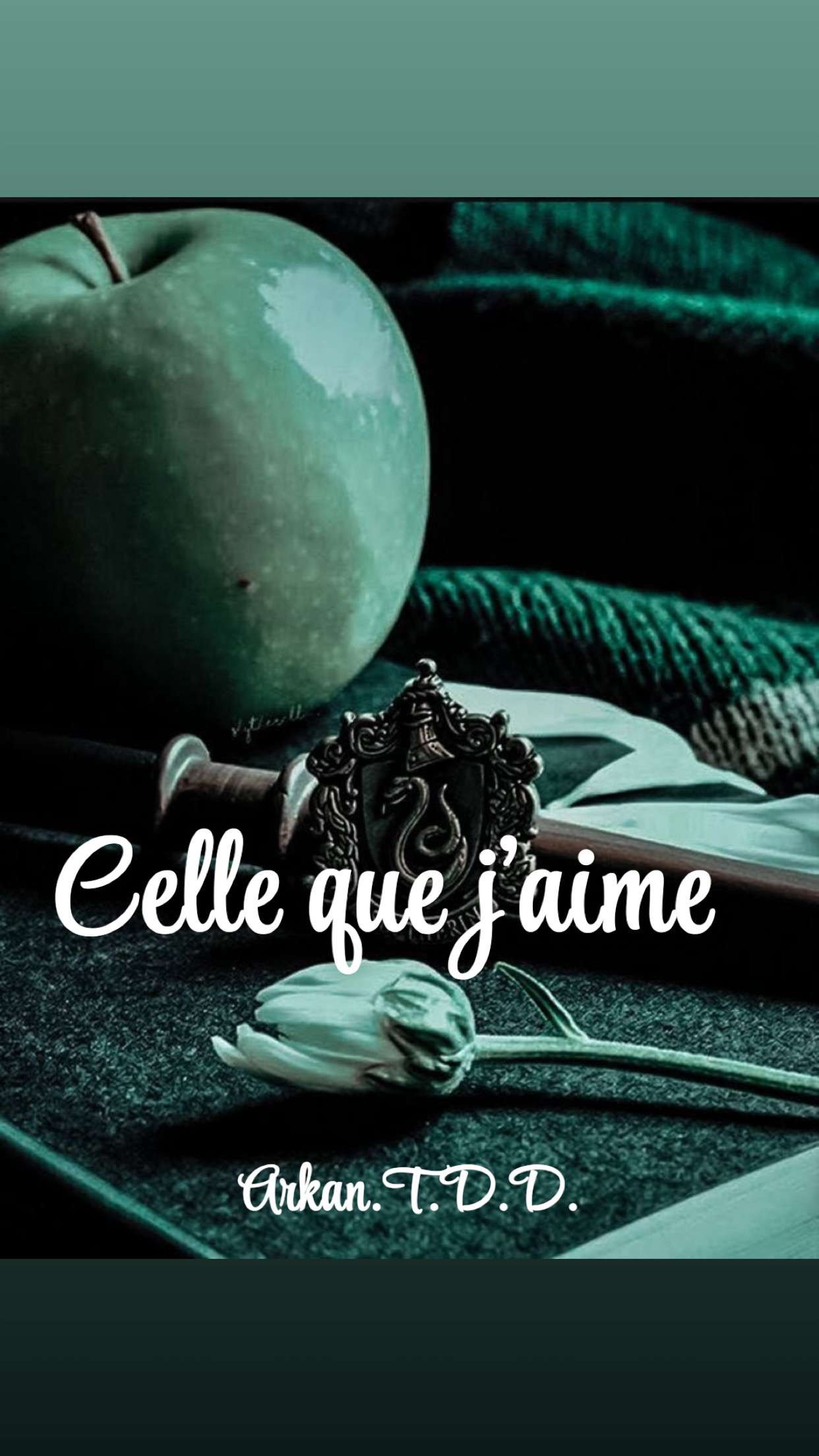 Pour ceux qui sont int&eacute;ress&eacute;s, j&rsquo;ai commenc&eacute; &agrave; &eacute;crire un livre.  #harrypotter #dracomalfoy #livres
