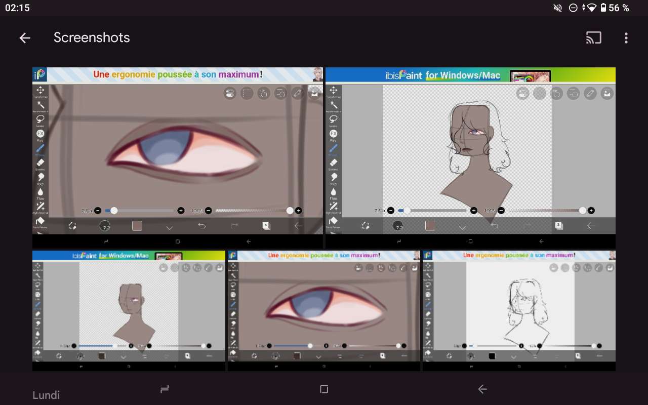 Pendant que je dessine sur ma tablette, j&rsquo;aime bien prendre des capture d&rsquo;&eacute;cran au fur et &agrave; mesure que le dessin avance,
Voici les captures d&rsquo;un dessin que je viens &agrave; l&rsquo;instant de finir :