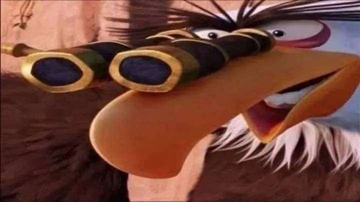 Ohhh ils sont o&ugrave; les albanais 🦅