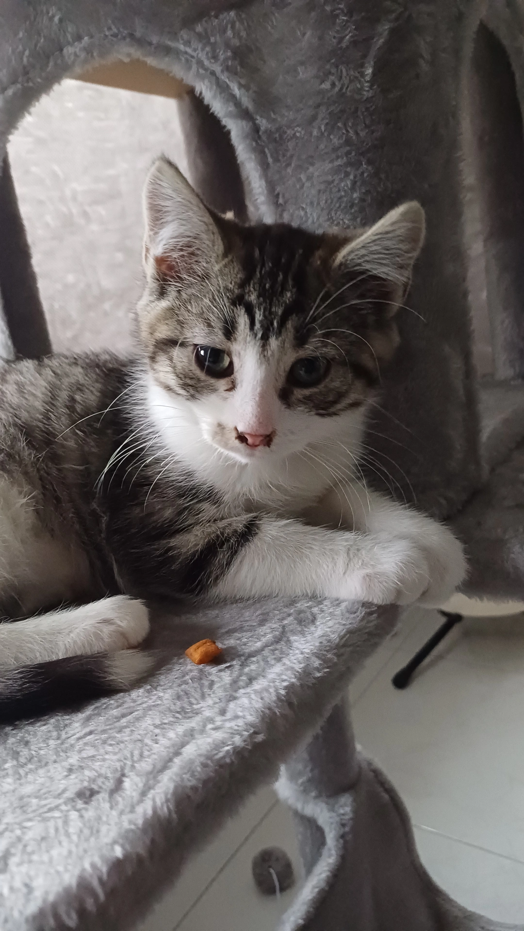 mon b&eacute;b&eacute; 💕
