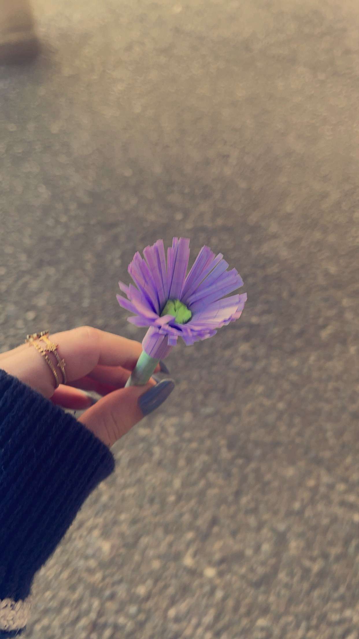 J&rsquo;ai eu ma rose 😏